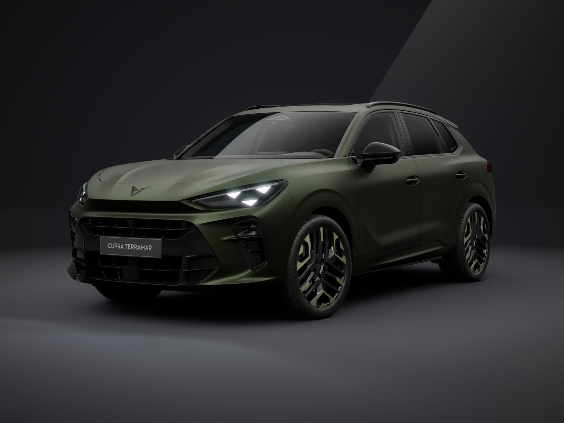 Slika TERRAMAR 2.0 TSI DSG 4Drive