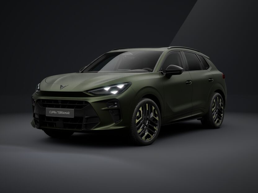 Slika TERRAMAR 2.0 TSI DSG 4Drive