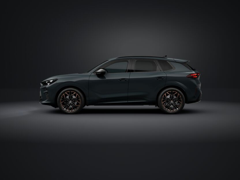 Slika TERRAMAR 2.0 TSI DSG 4Drive