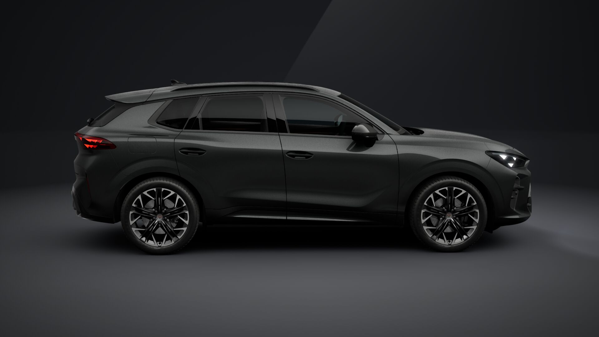 Slika TERRAMAR 2.0 TSI DSG 4Drive