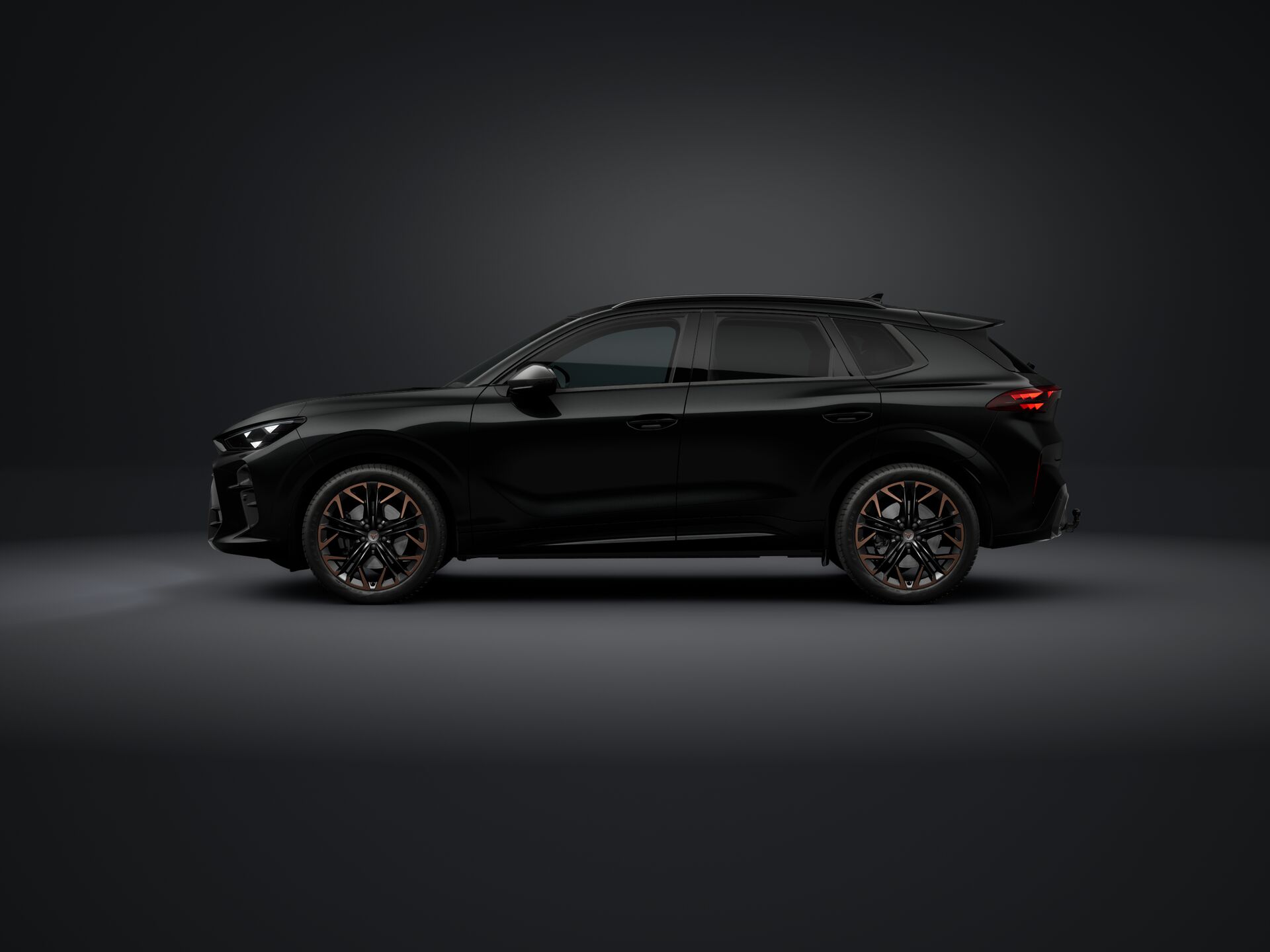 Slika TERRAMAR 2.0 TSI DSG 4Drive