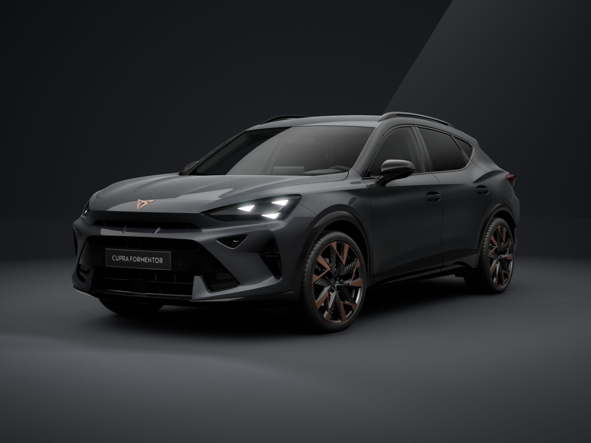 Slika FORMENTOR 2.0 TDI evo DSG