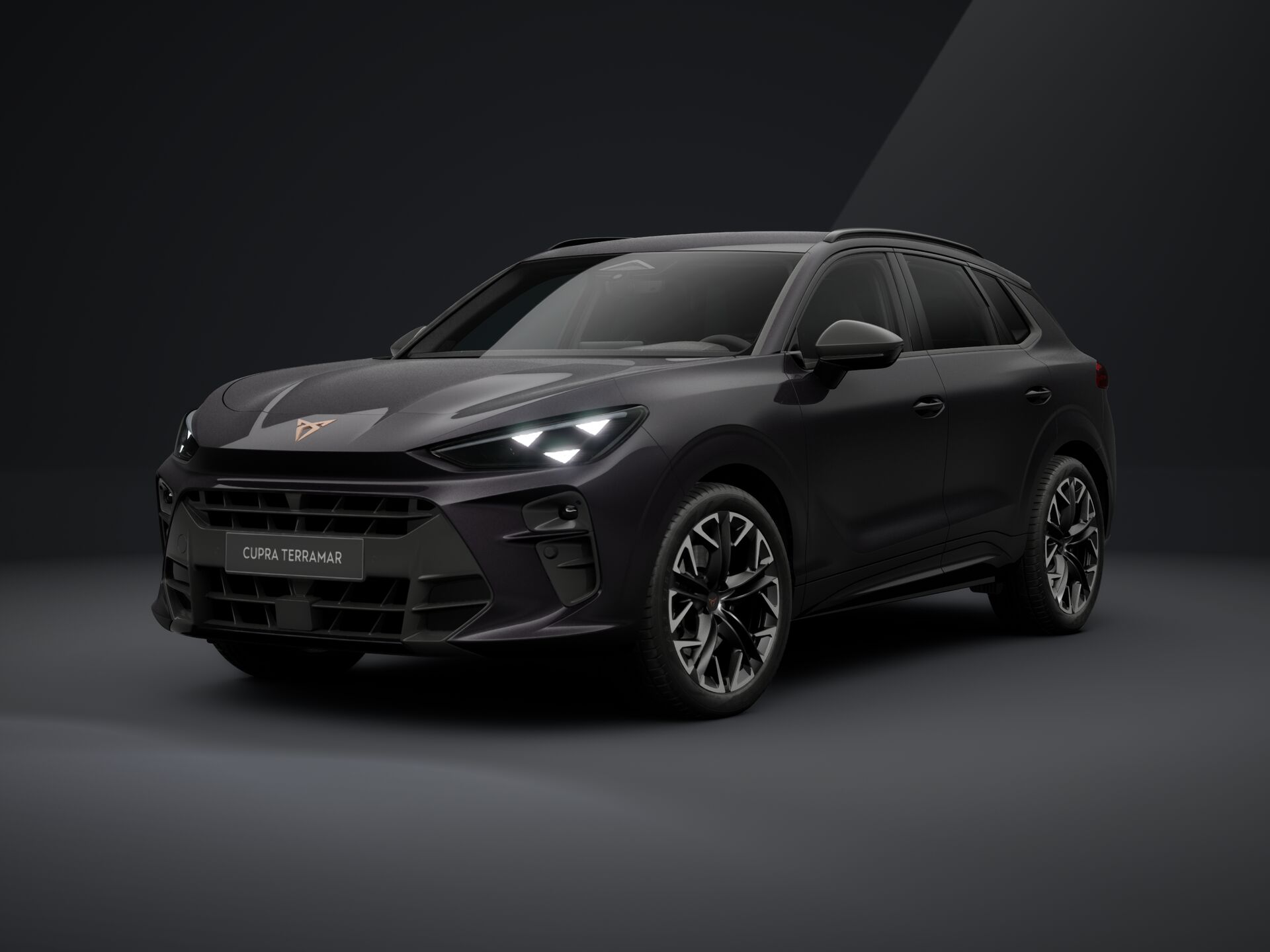 Slika TERRAMAR 2.0 TSI DSG 4Drive