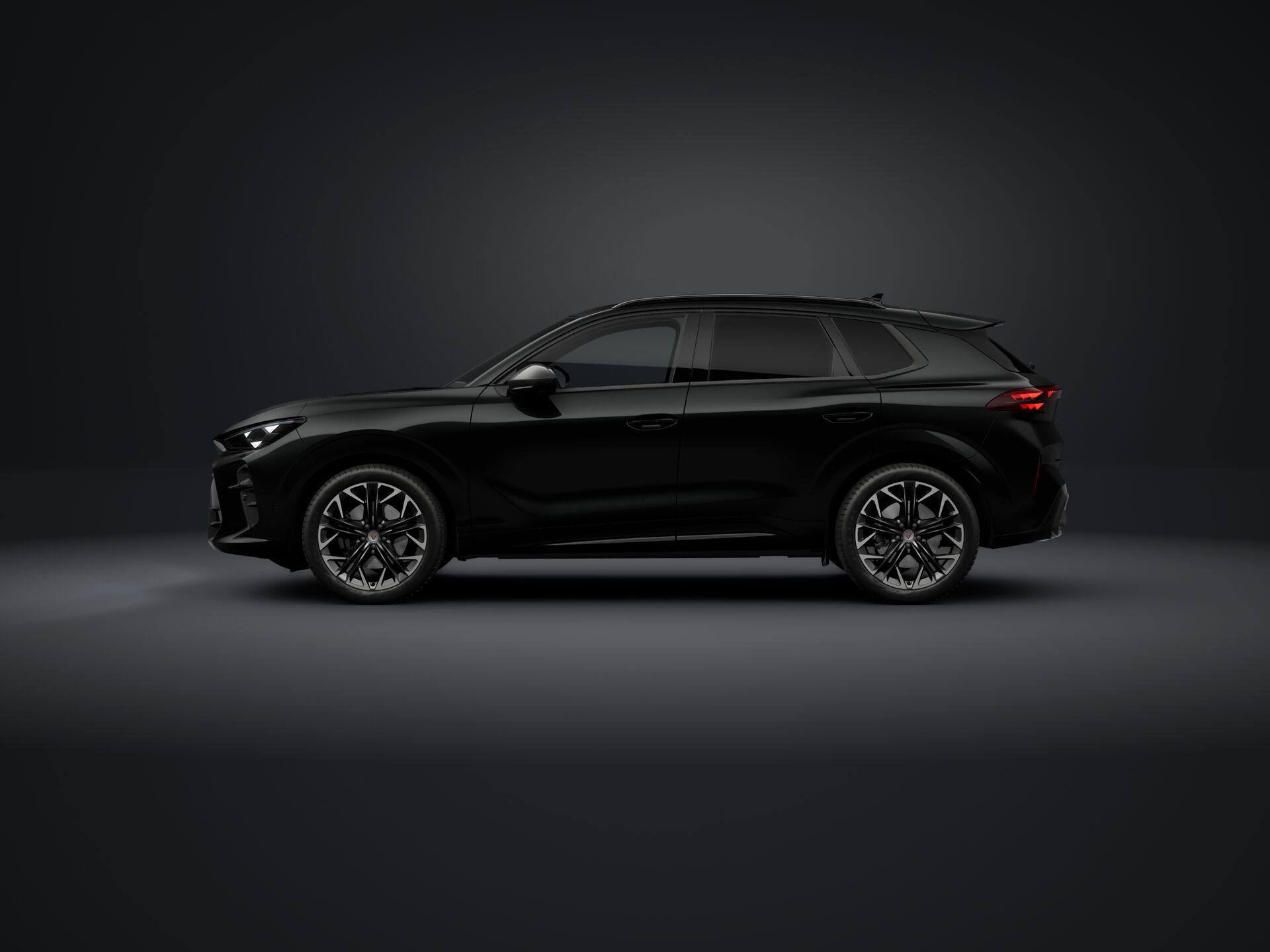 Slika TERRAMAR 2.0 TSI DSG 4Drive