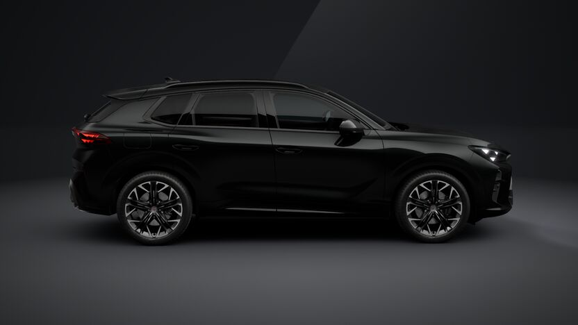 Slika TERRAMAR 2.0 TSI DSG 4Drive