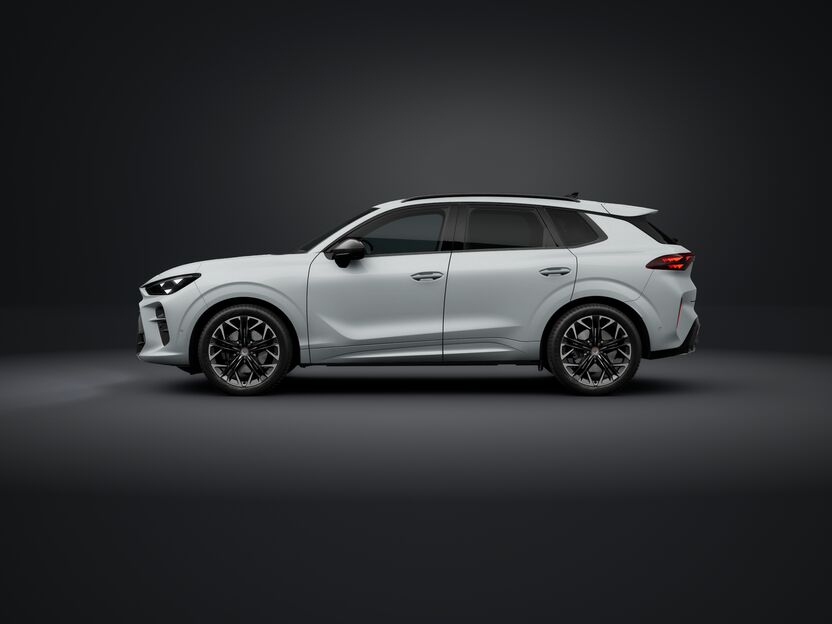 Slika TERRAMAR 2.0 TSI DSG 4Drive