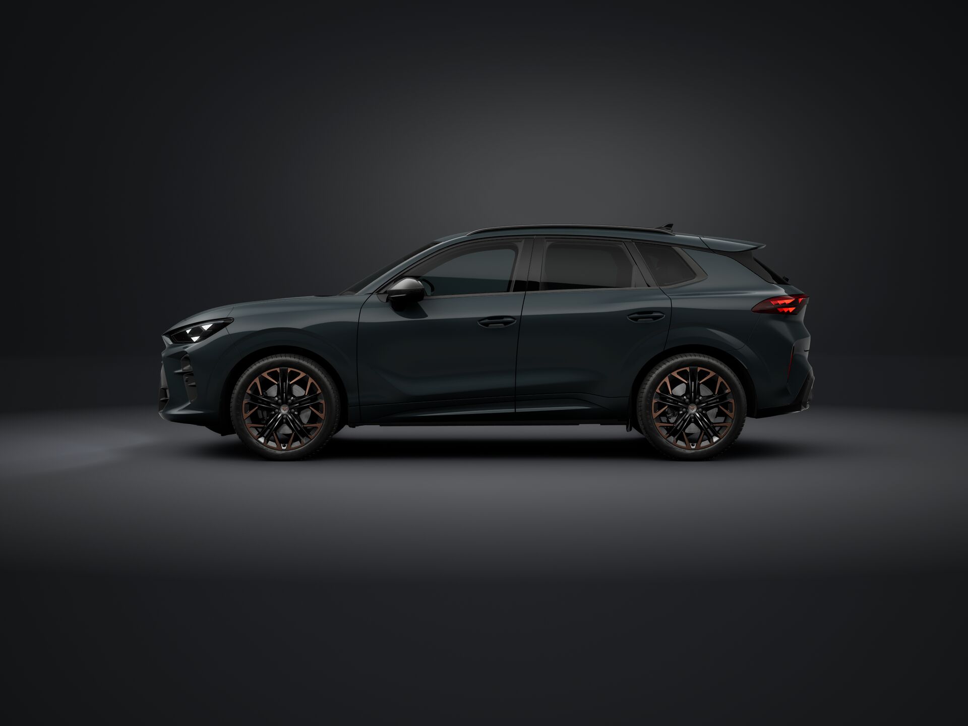 Slika TERRAMAR 2.0 TSI DSG 4Drive
