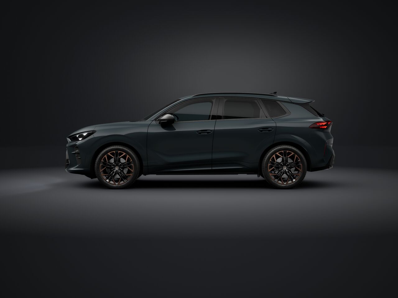 Slika TERRAMAR 2.0 TSI DSG 4Drive