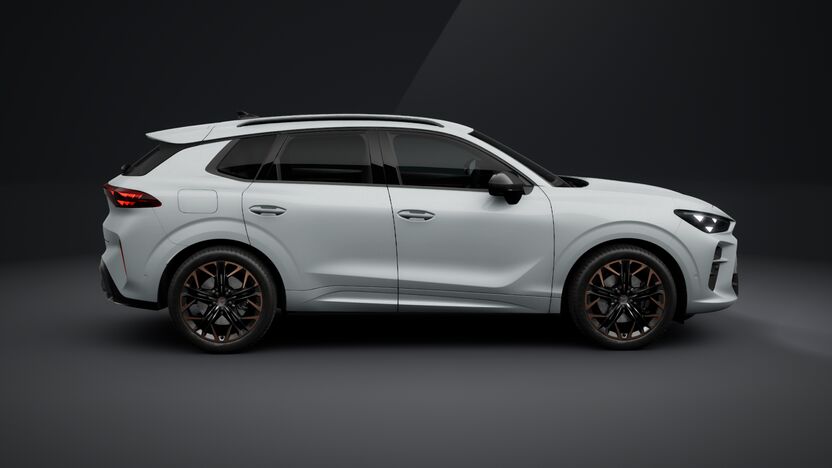 Slika TERRAMAR 2.0 TSI DSG 4Drive