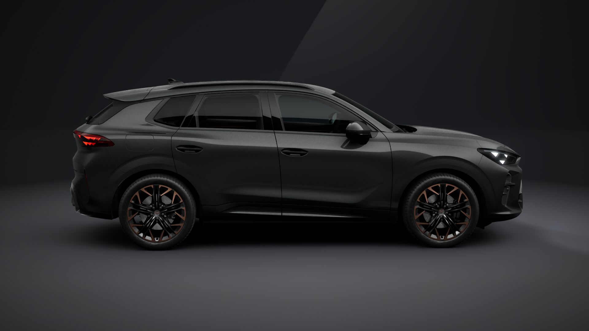 Slika TERRAMAR 2.0 TSI DSG 4Drive