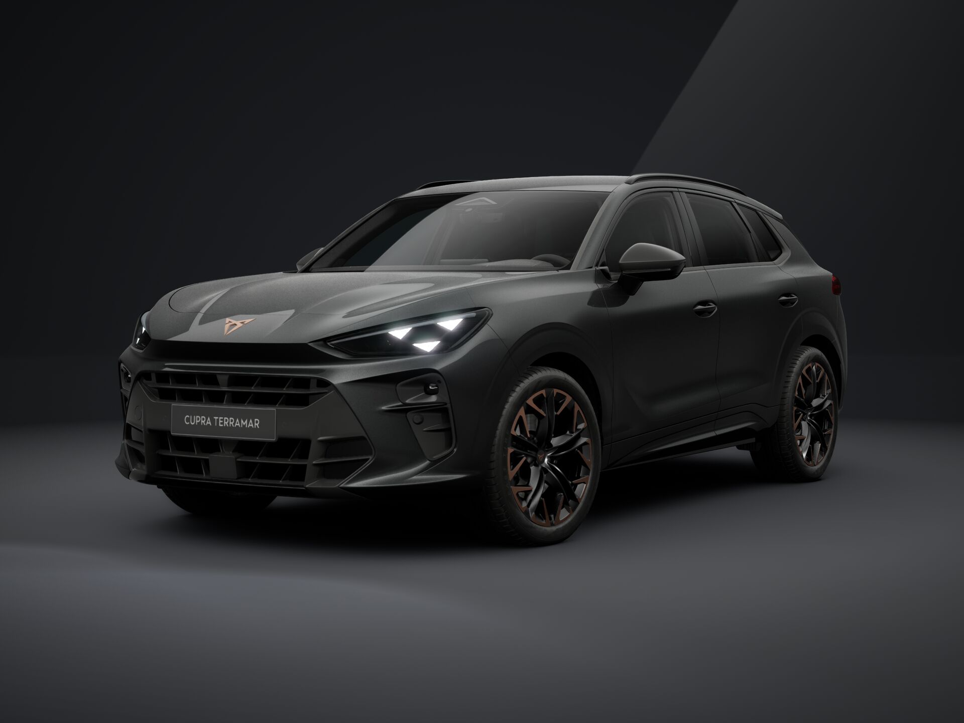 Slika TERRAMAR 2.0 TSI DSG 4Drive