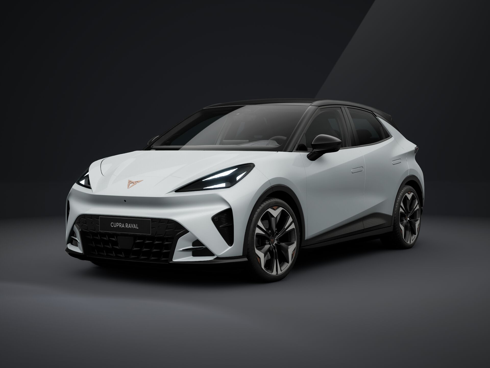 Slika RAVAL 51.5 (55) kWh Endurance