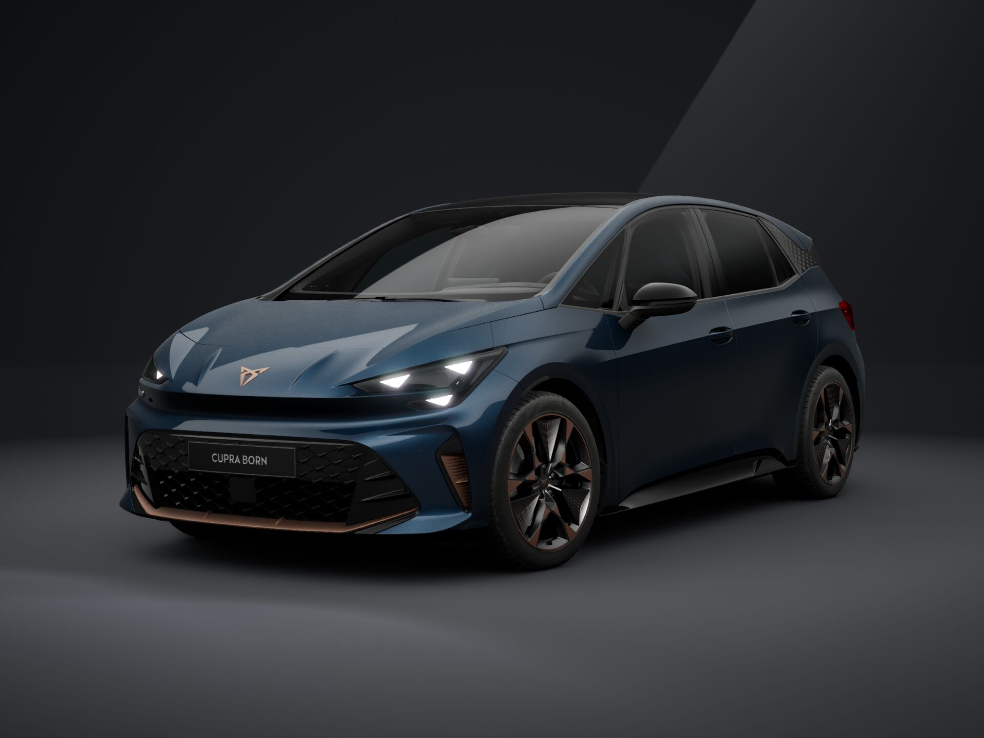Slika BORN 79 (84) kWh ENDURANCE Tribe