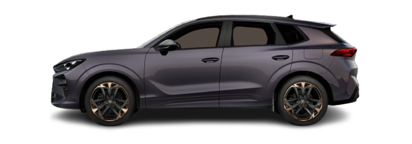 Slika CUPRA TERRAMAR