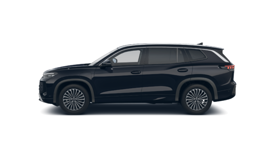 Slika TAYRON 1.5 TSI eHybrid DSG Life Plus