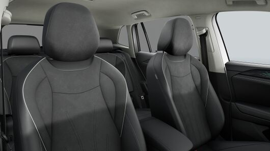 Slika TIGUAN 2.0 TDI DSG Elegance