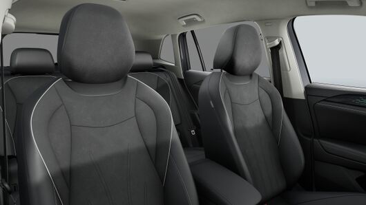 Slika TIGUAN 1.5 TSI eHybrid DSG Elegance