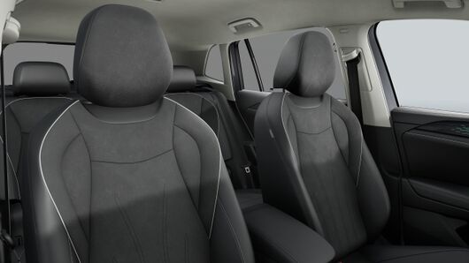 Slika TIGUAN 2.0 TDI DSG Elegance