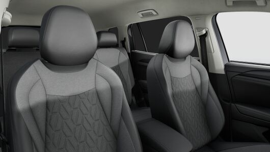 Slika TAYRON 1.5 eTSI DSG Life Plus