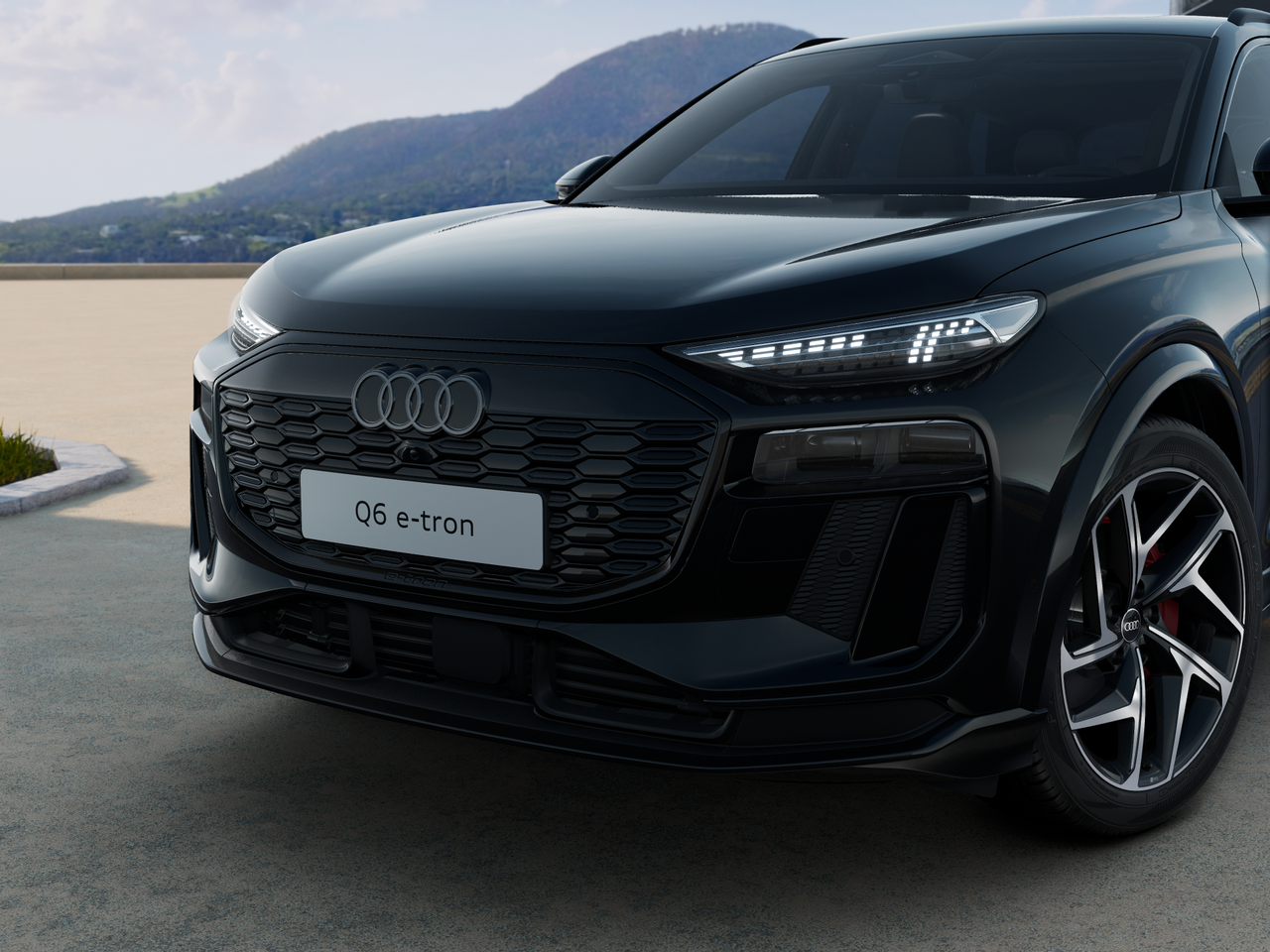 Q6 e-tron Performance Business