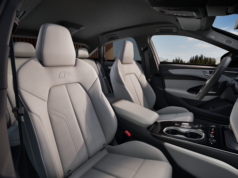 A6 Limousine e-hybrid quattro 220 kW képe