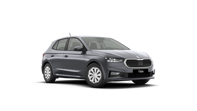 Fabia Selection 1.0 TSI képe