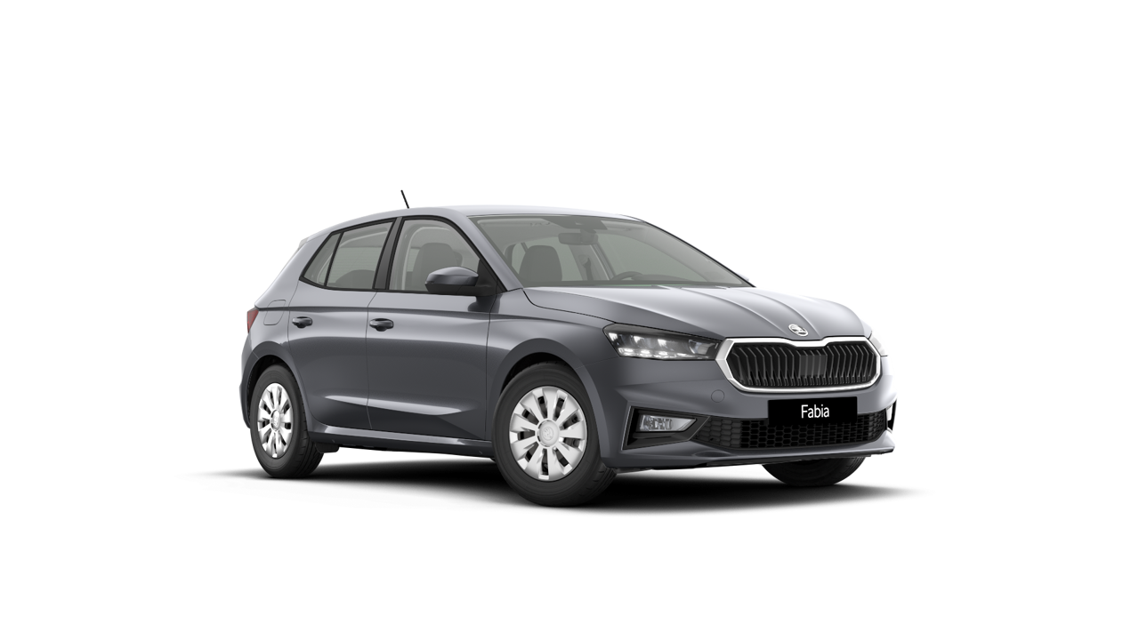 Fabia Selection 1.0 TSI képe