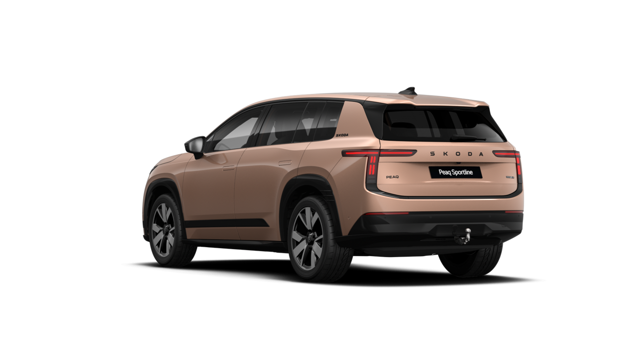 Peaq SportLine 90x képe