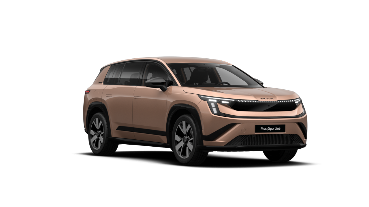 Peaq SportLine 90x képe