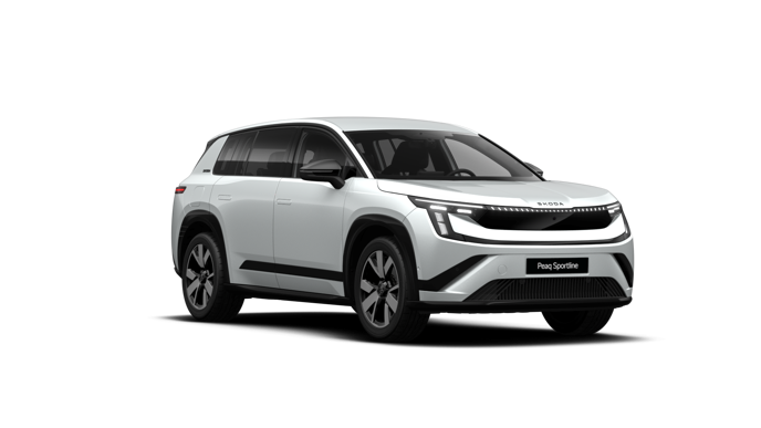 Peaq SportLine 90x képe
