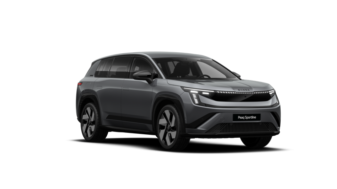 Peaq SportLine 90x képe