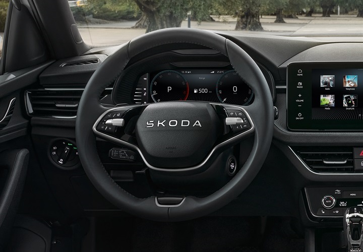 Multifunkciós bőrkormány, fűthető, DSG