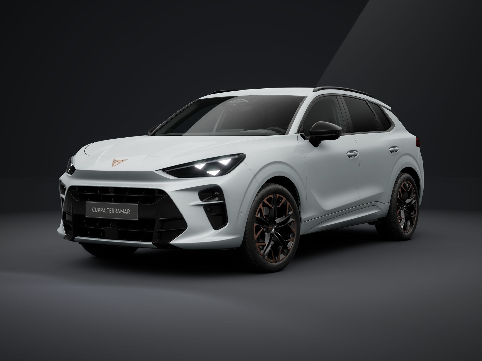 CUPRA Terramar 2.0 TSI DSG 4Drive Impuls képe