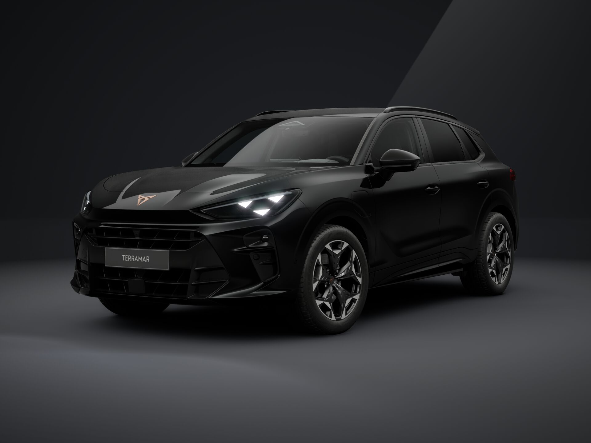 CUPRA Terramar 1.5 TSI DSG pHEV Impulse képe