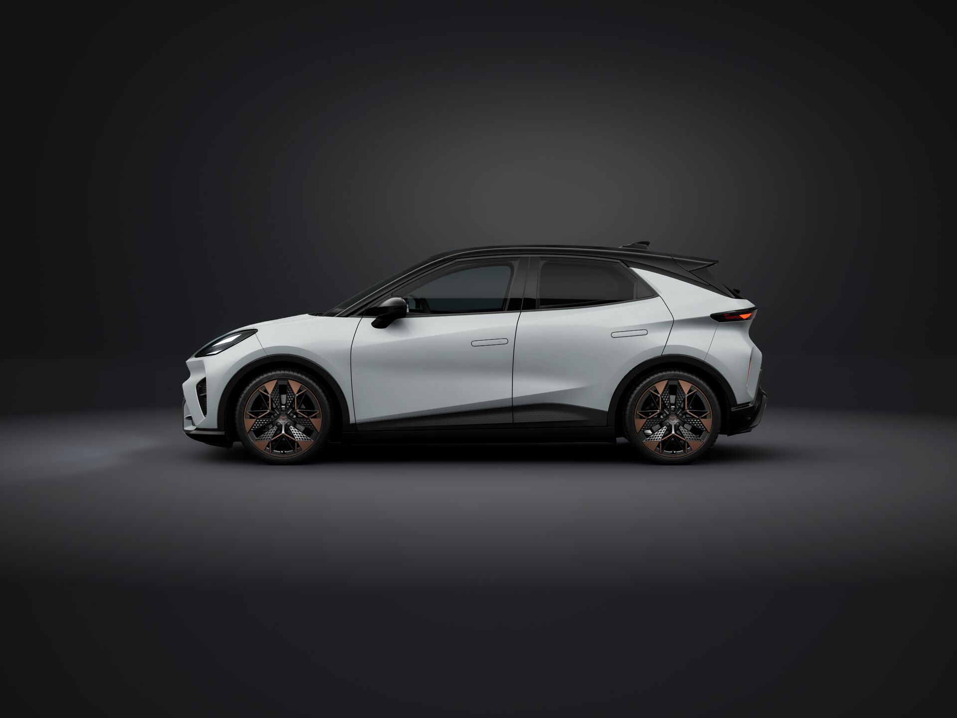 CUPRA Raval Endurance / 52kWh képe
