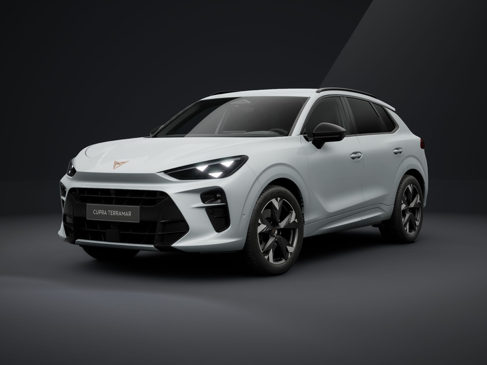 CUPRA Terramar 2.0 TSI DSG 4Drive Impuls képe