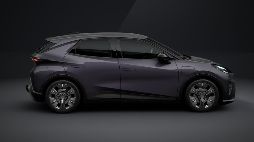 CUPRA Raval Endurance / 52kWh képe