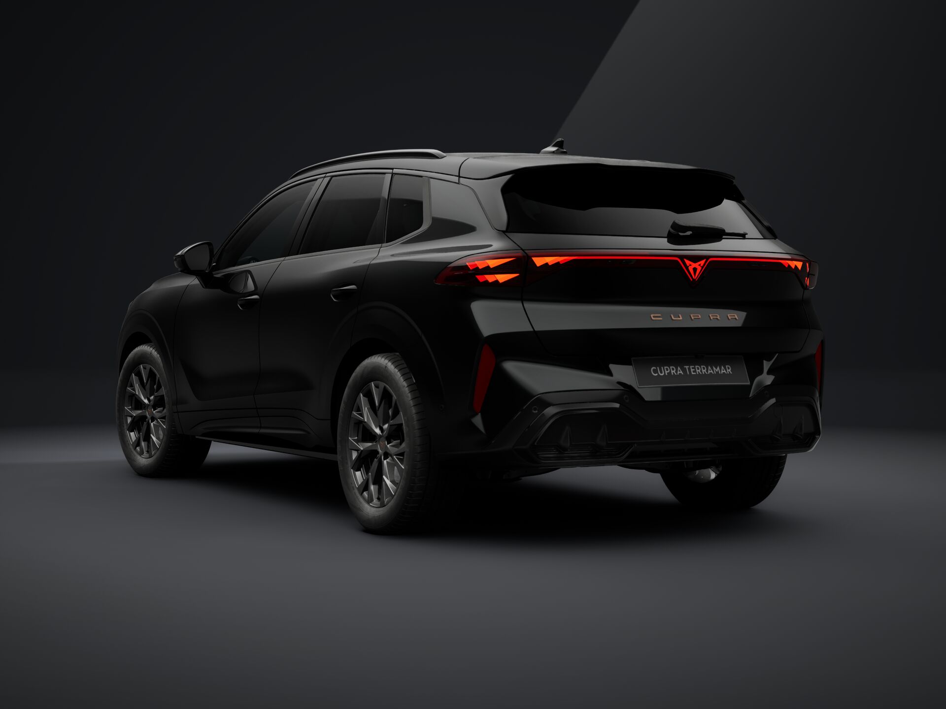 CUPRA Terramar 1.5 TSI DSG mHEV Impulse képe