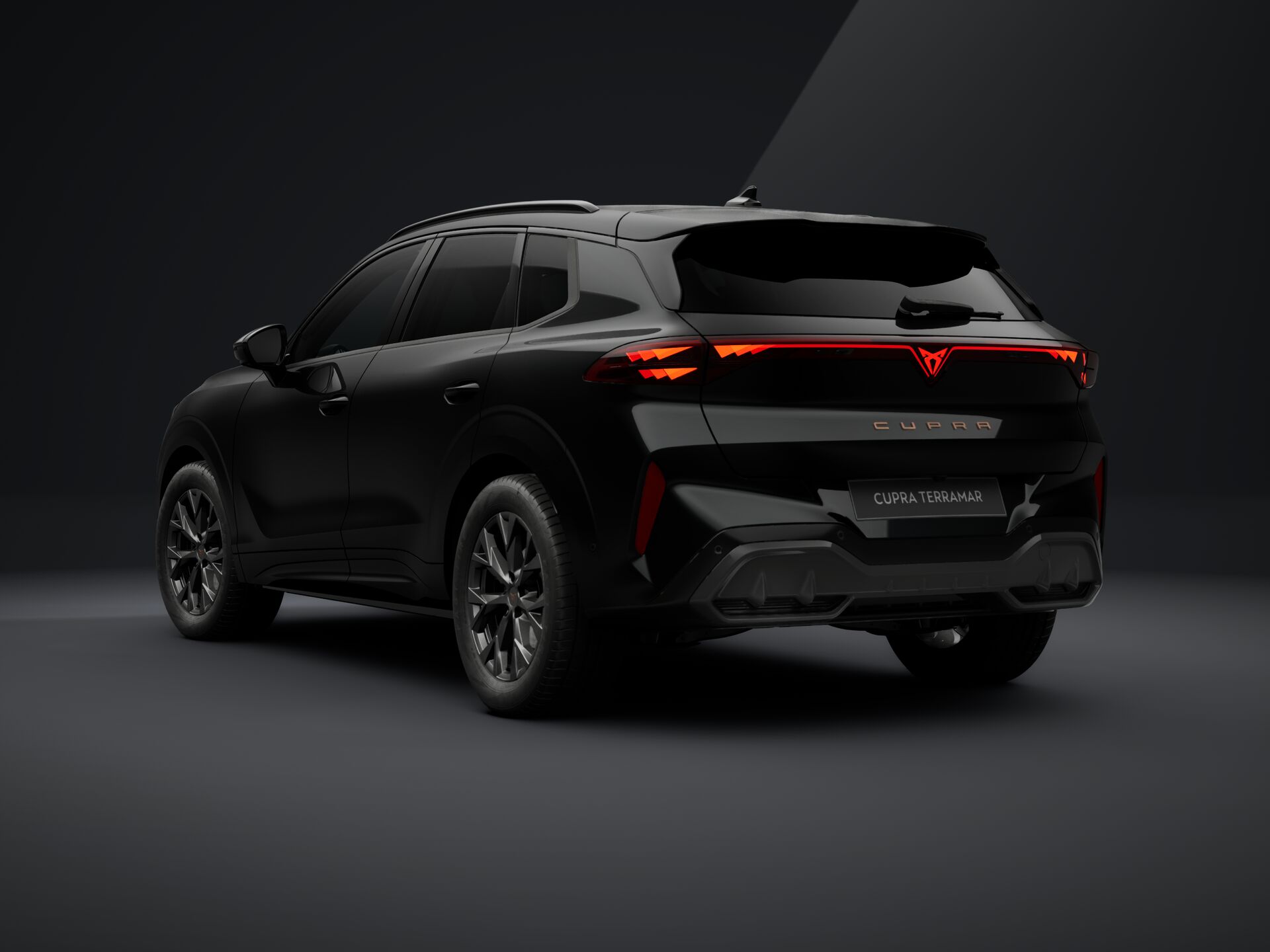CUPRA Terramar 1.5 TSI DSG mHEV Impulse képe