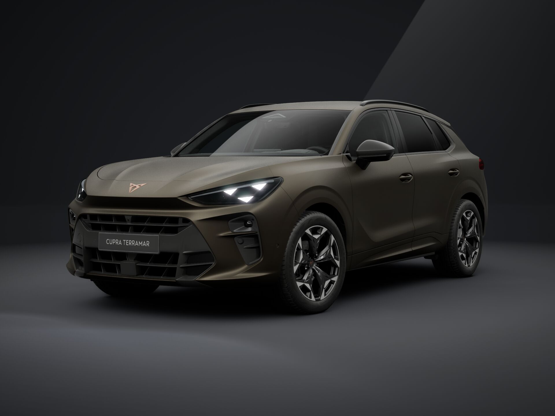 CUPRA Terramar 1.5 TSI DSG mHEV Impulse képe