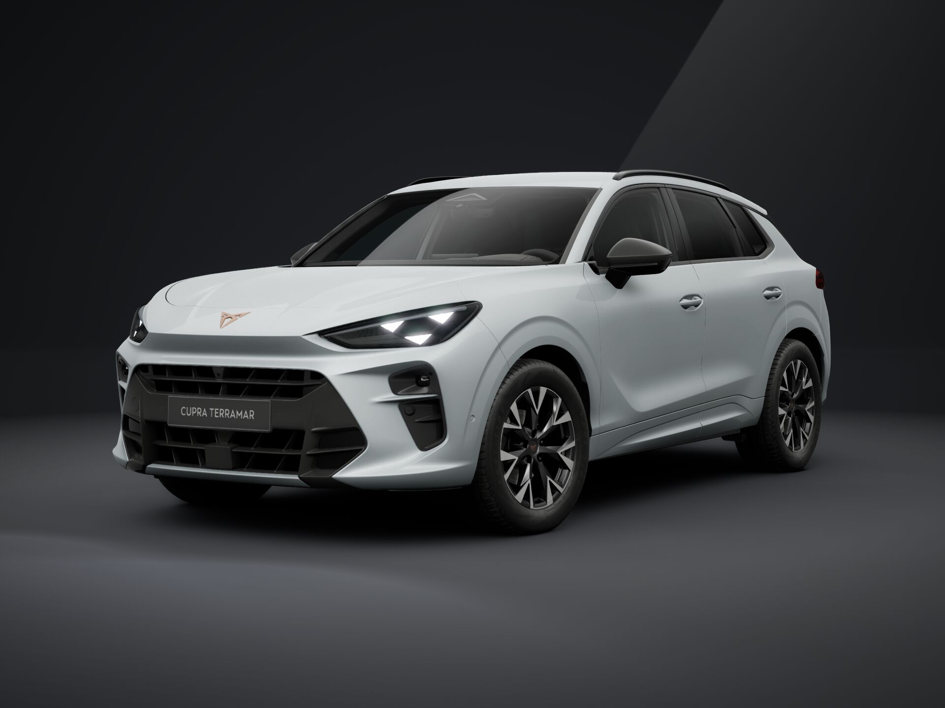 CUPRA Terramar 1.5 TSI DSG mHEV Impulse képe