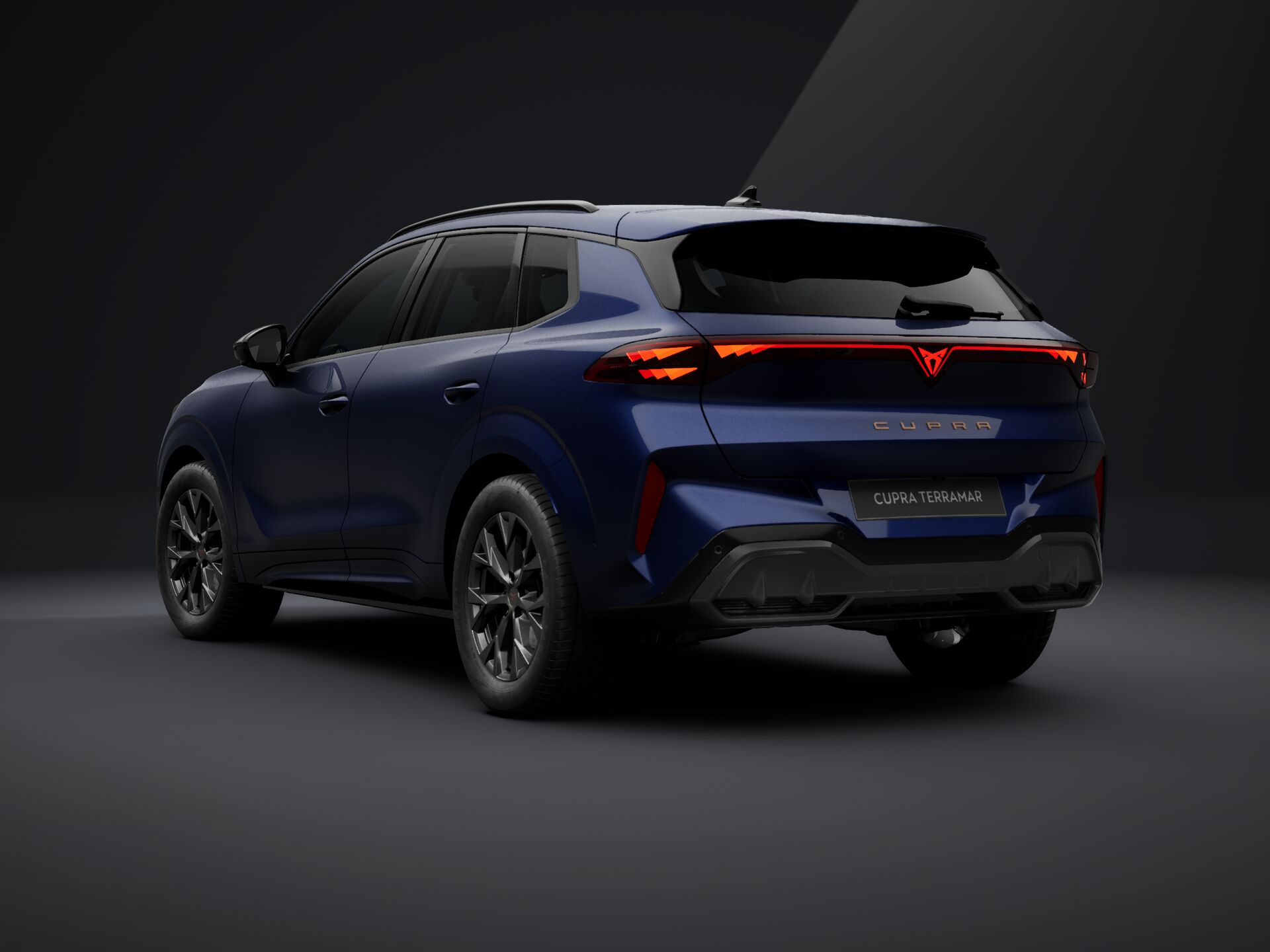 CUPRA Terramar 1.5 TSI DSG mHEV Impulse képe