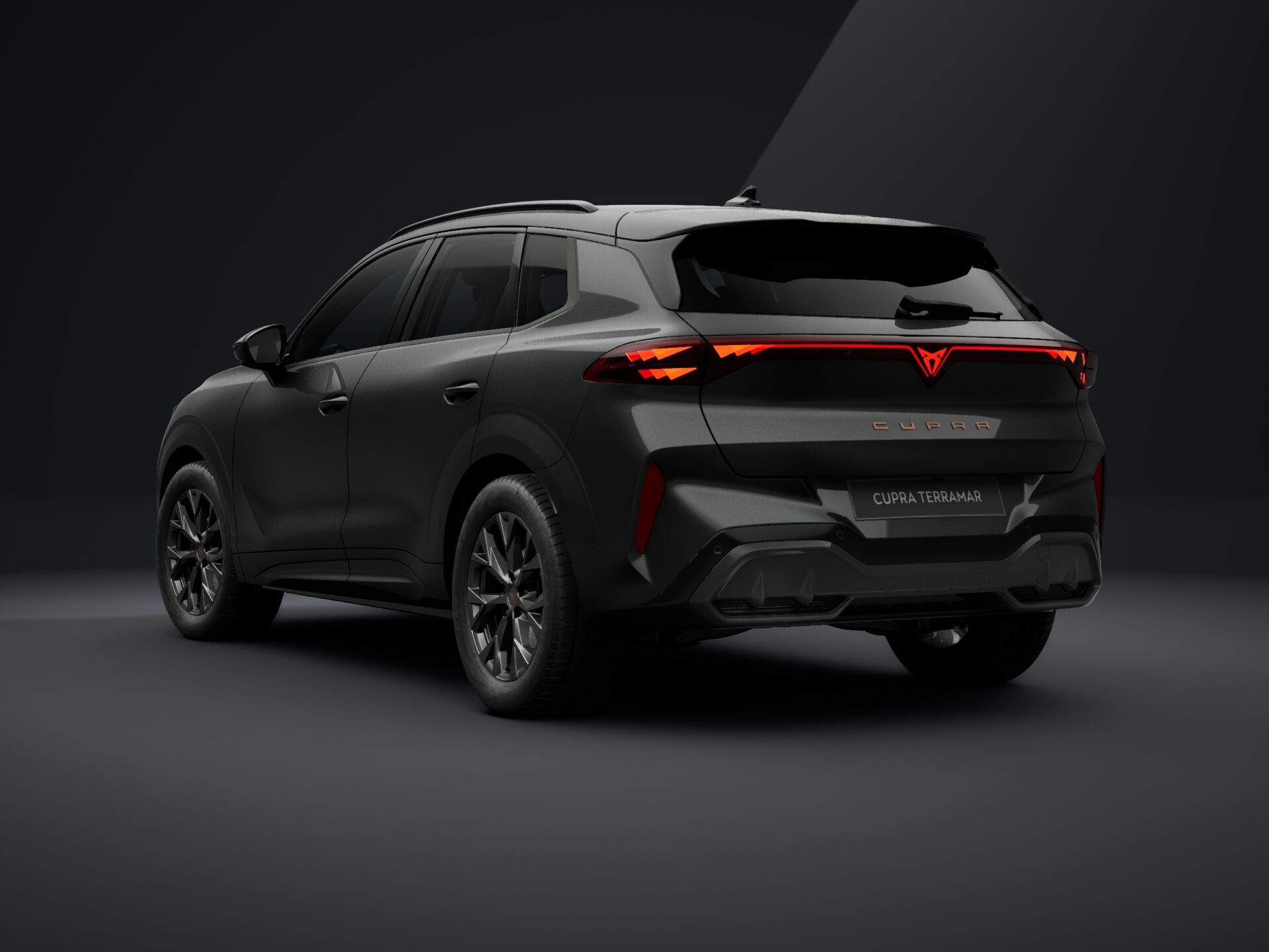 CUPRA Terramar 1.5 TSI DSG mHEV Impulse képe