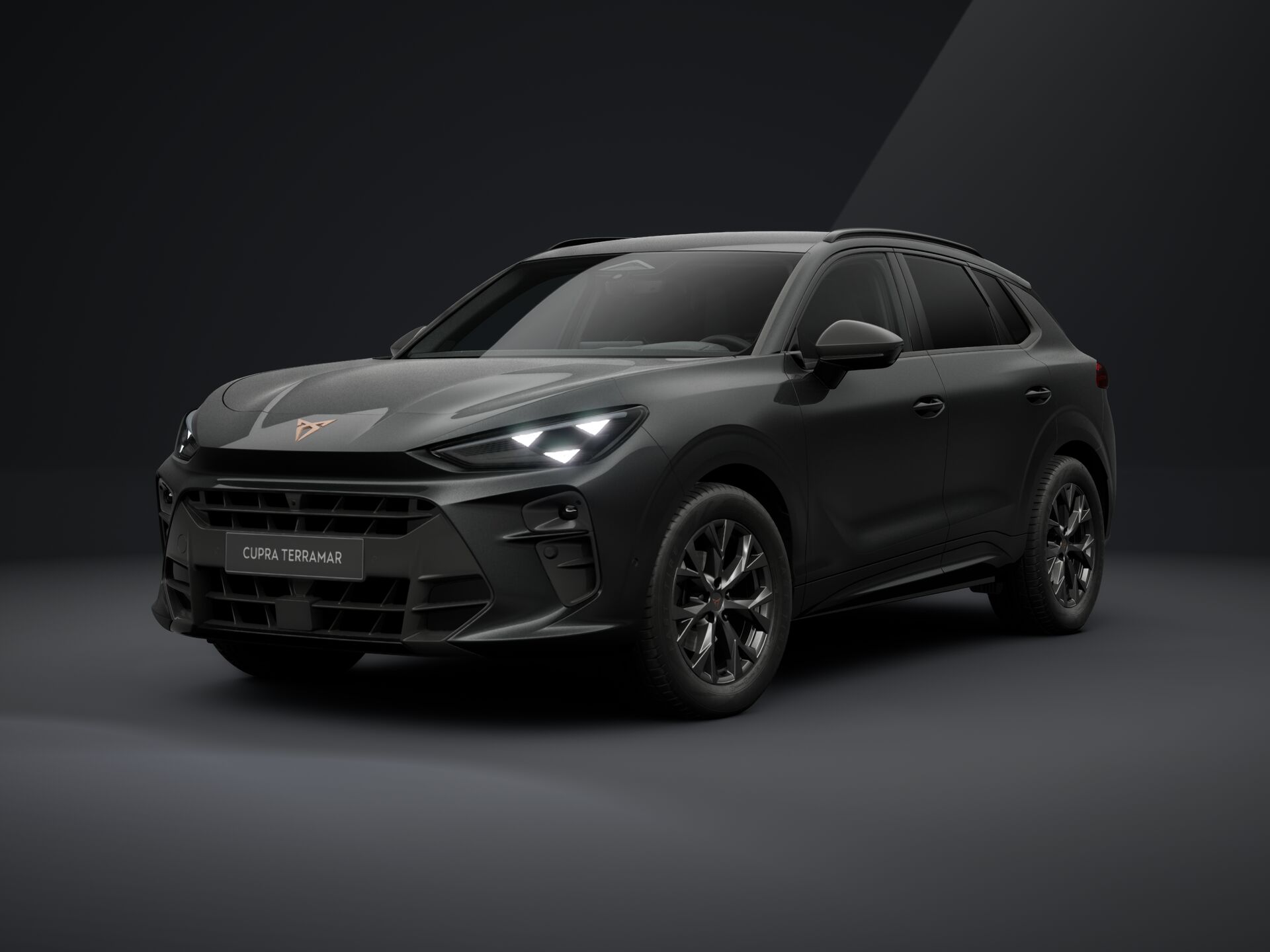 CUPRA Terramar 1.5 TSI DSG mHEV Impulse képe