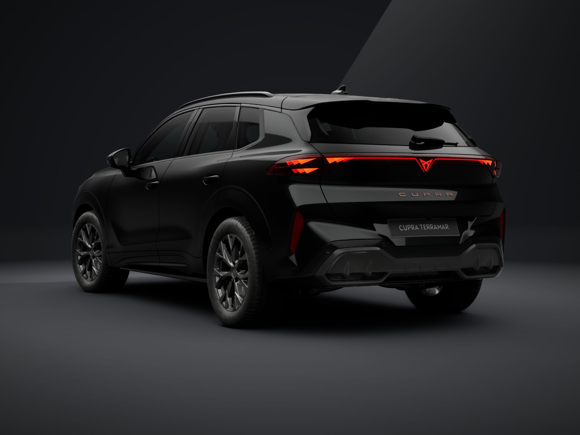 CUPRA Terramar 1.5 TSI DSG mHEV Impulse képe
