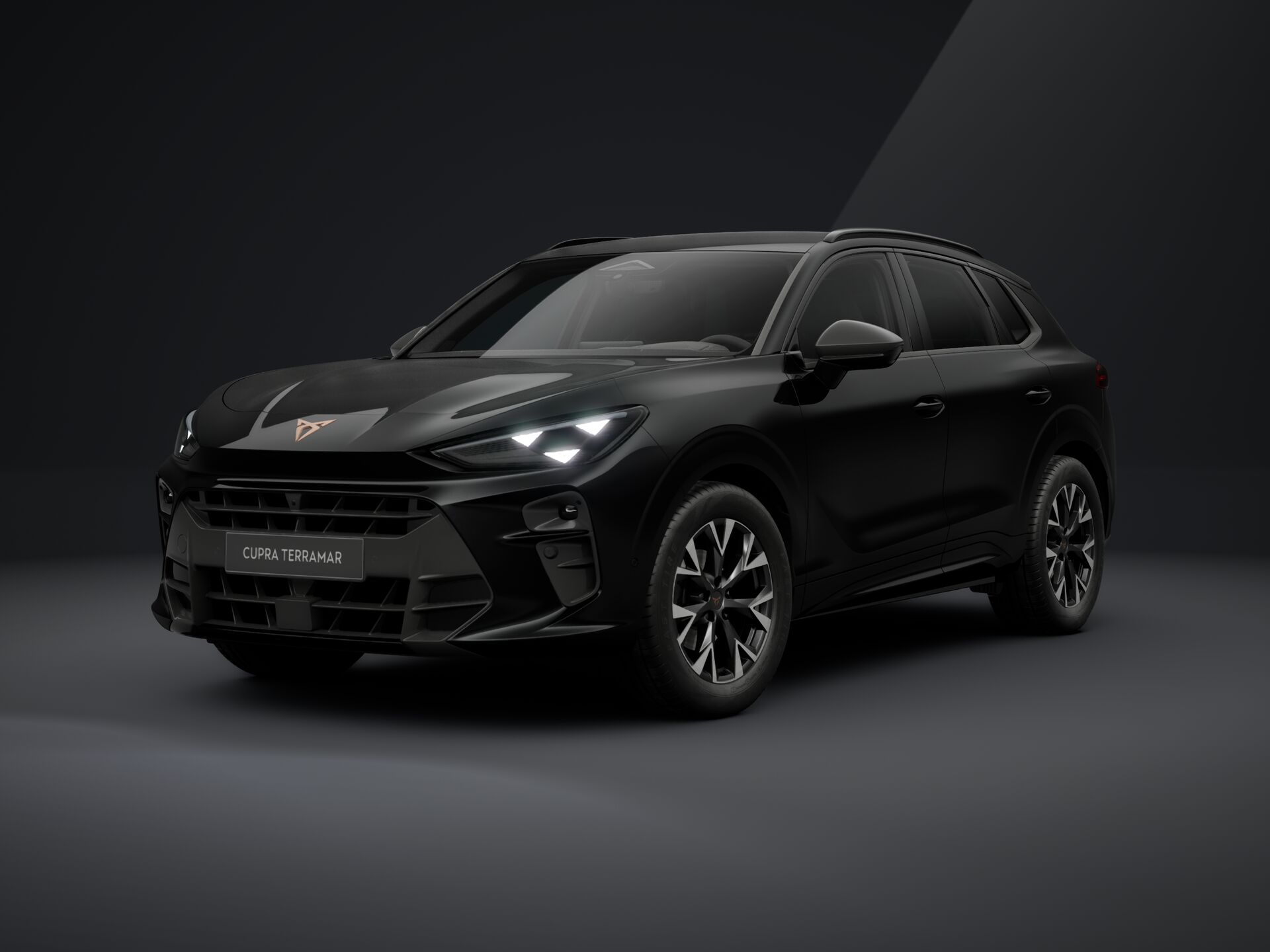 CUPRA Terramar 1.5 TSI DSG mHEV Impulse képe