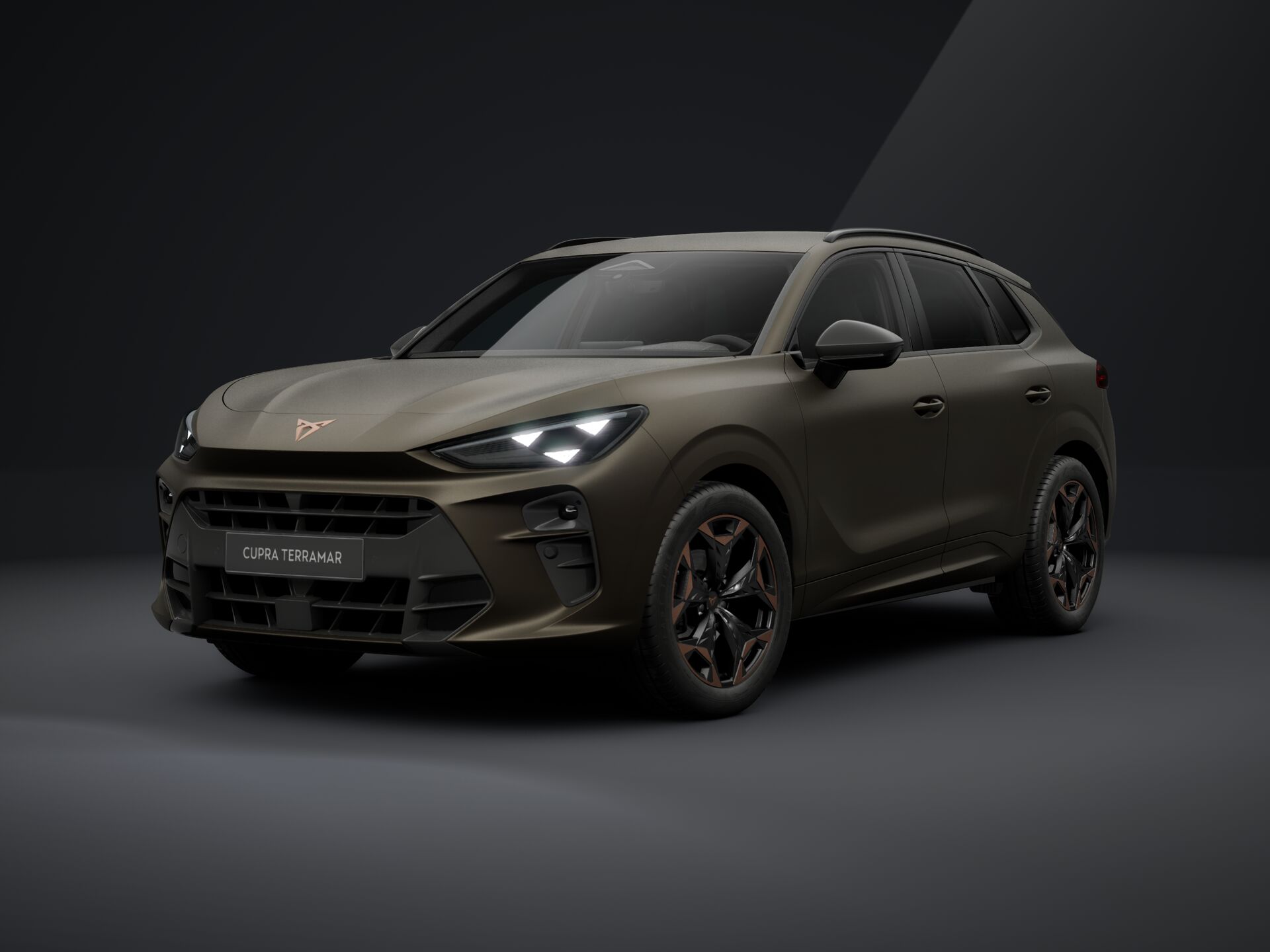 CUPRA Terramar 1.5 TSI DSG mHEV Impulse képe