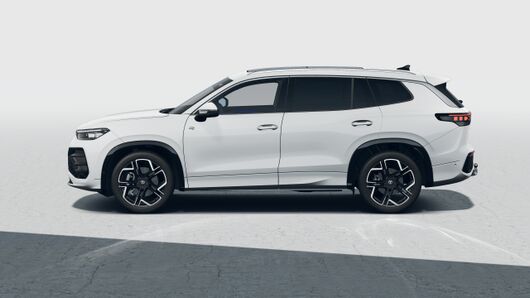 Tayron R-Line MAX 2.0 TDI DSG 4Motion képe