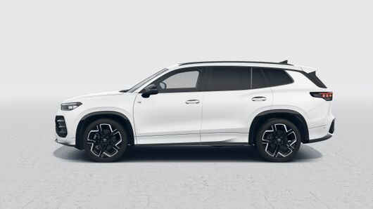 Tayron R-Line MAX 2.0 TDI DSG 4Motion képe