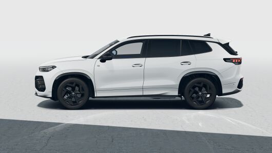 Tayron R-Line 2.0 TDI DSG képe